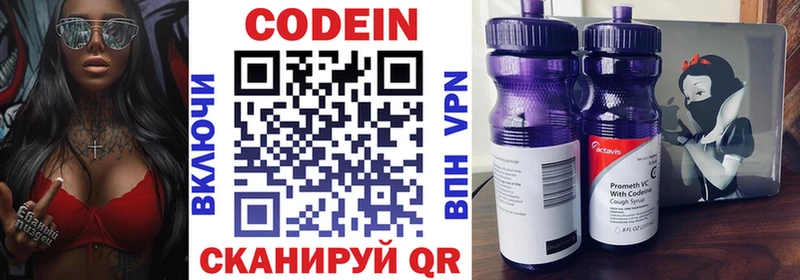 где можно купить наркотик  Елизаветинская  Codein напиток Lean (лин) 
