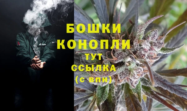 Альфа ПВП Снежногорск